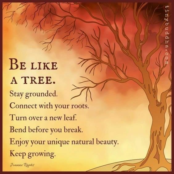 Be Like a Tree – CAROL WING